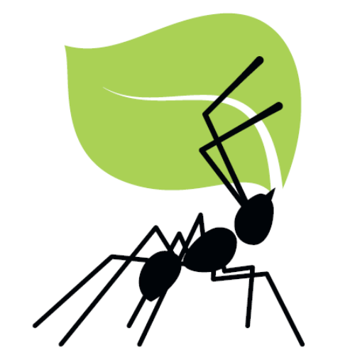 Fourmitopia